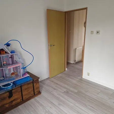 Nr 16